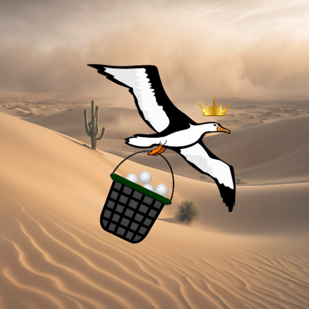 OG Collection '12x12' Physical Print - Eagle Level - Sandstorm Background